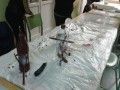 Comederos para pájaros