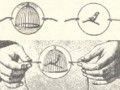 Taumatropo o Thaumatrope